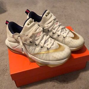 Nike Lebron 12 low